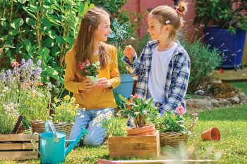 vente de fleurs, bulbes et plants, conseil de distribution