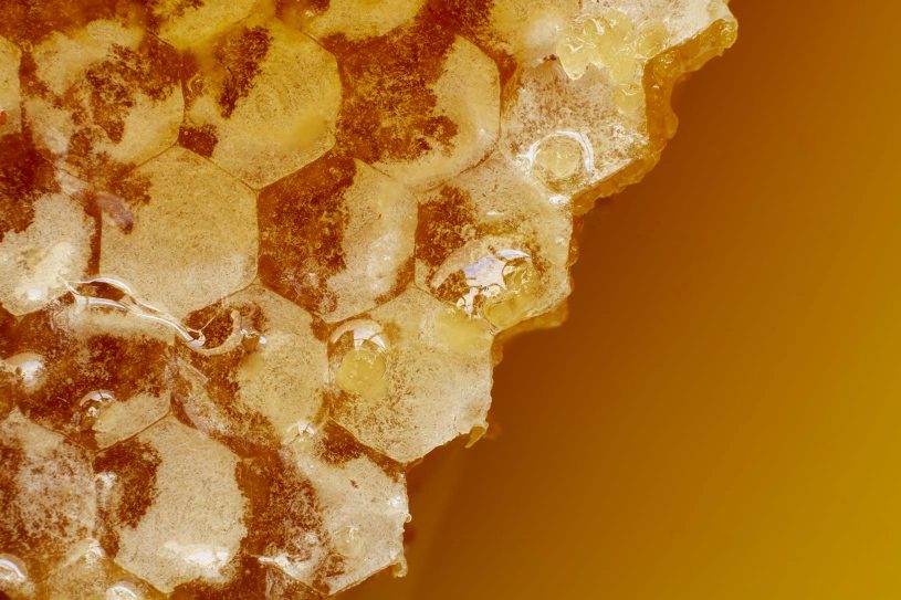 la cire des abeilles