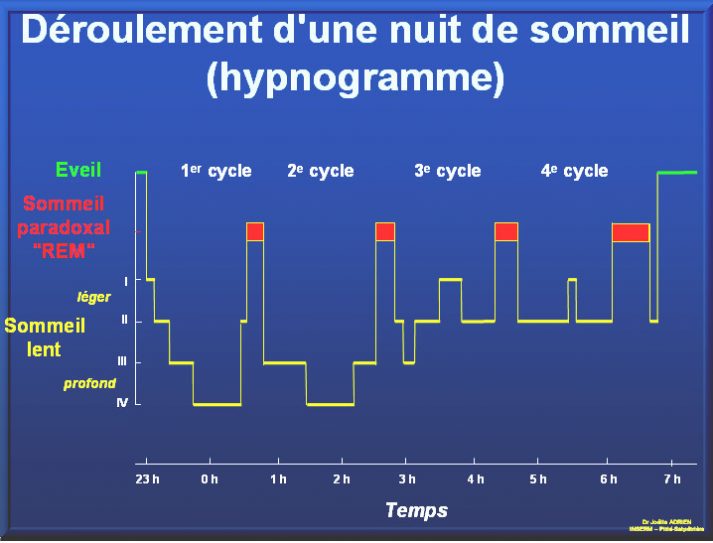 déroulement d'une nuit de sommeil