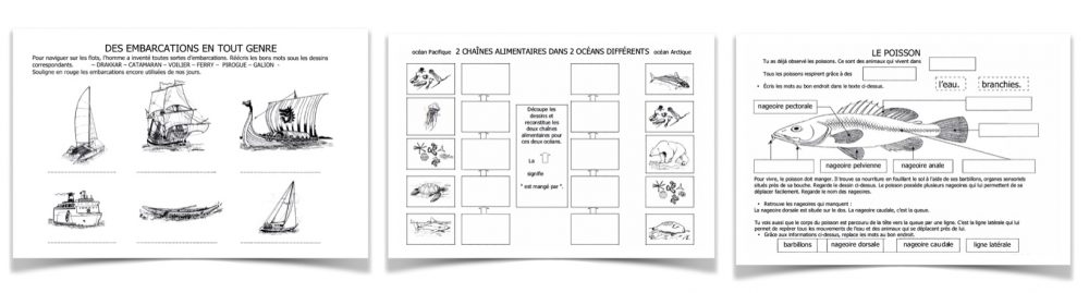 Fiches pédagogique sur les animaux de la mer le poisson la chaine alimentaire les embarcations