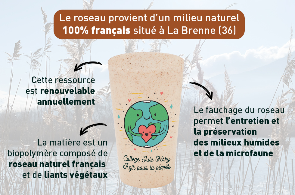 éco-délégué collège lycée gobelet recyclable