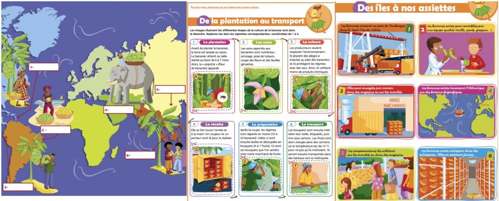Fiches du Petit quotidien sur la culture de la banane en Guadeloupe Martinique