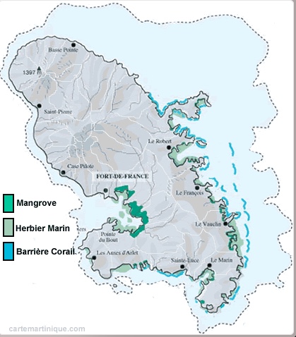 La Martinique biodiversité