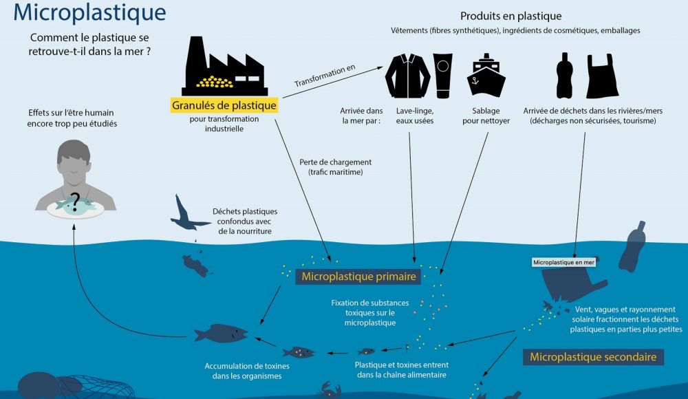 Schéma le plastique dans la mer