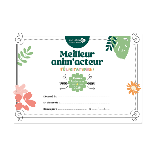 Diplôme meilleur anim'acteur