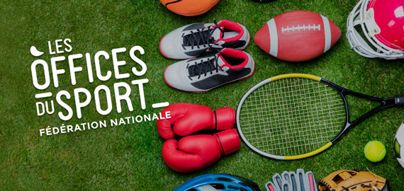Fédération Française HandiSrport