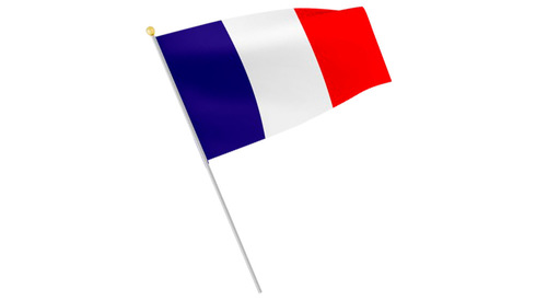 Lot de 60 drapeaux France
