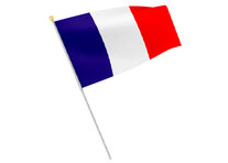 Lot de 60 drapeaux France